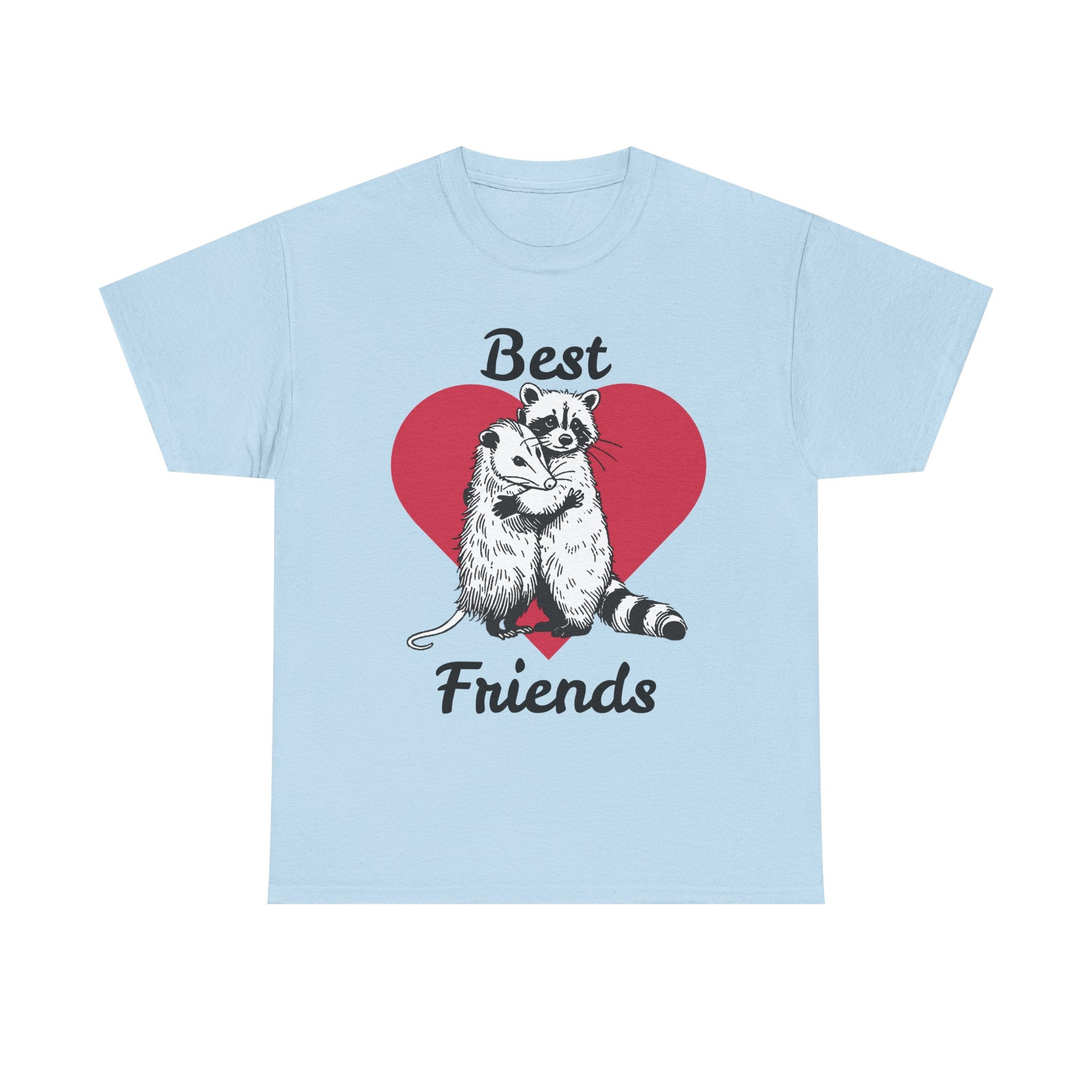 Light blue t-shirt with raccoon and otter illustration and 'Best Friends' text on a white background