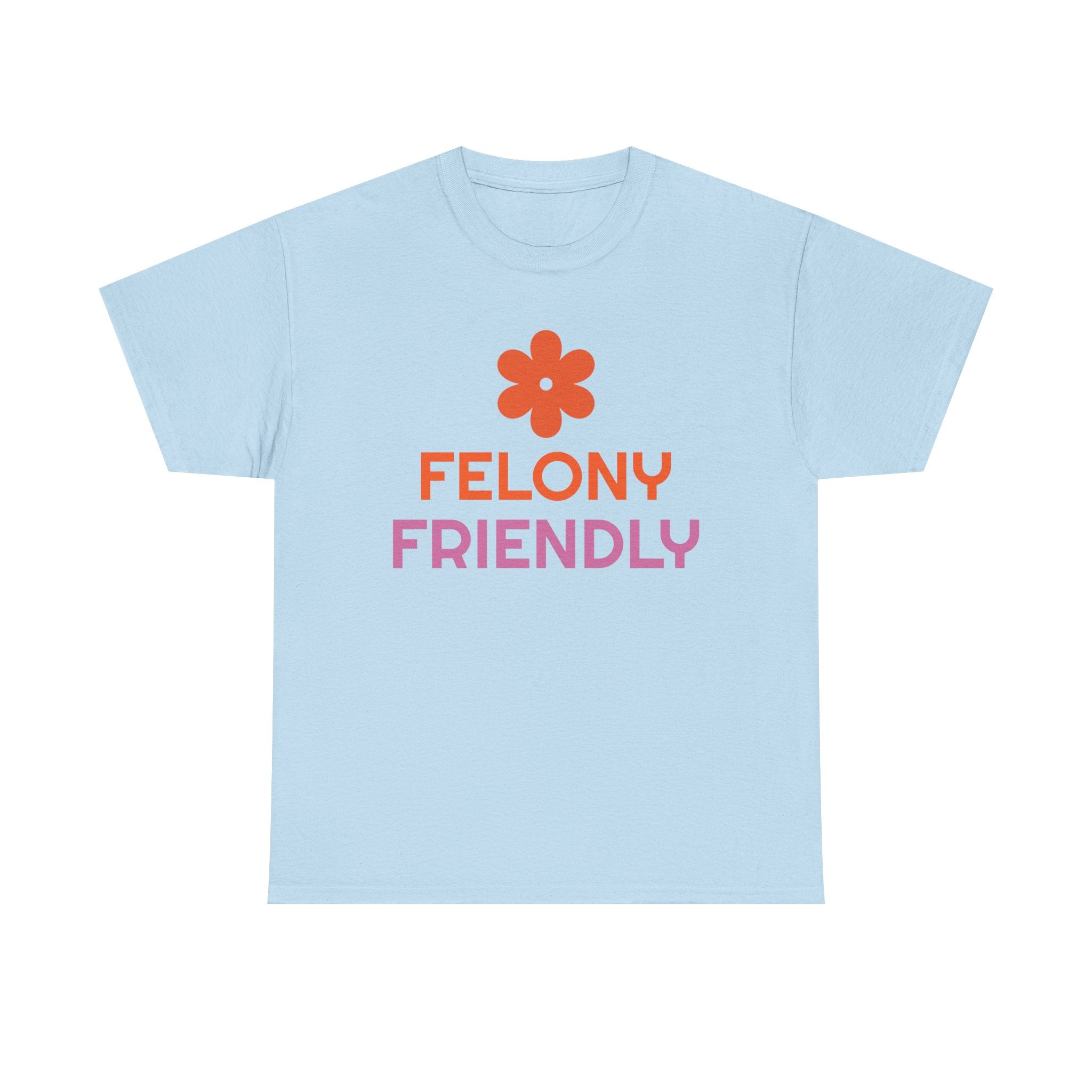 Light blue t-shirt with 'Felony Friendly' text and flower graphic on a white background